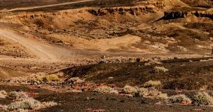 超级顶薪落空！特雷·杨1换2，比赛期间得知被交易！还要追浓眉？